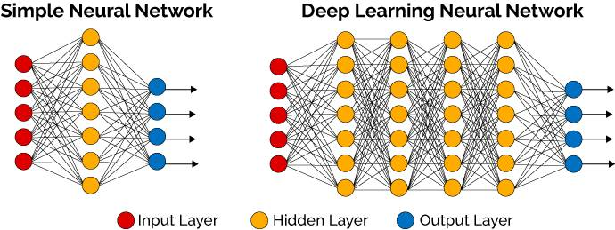 Neural Network